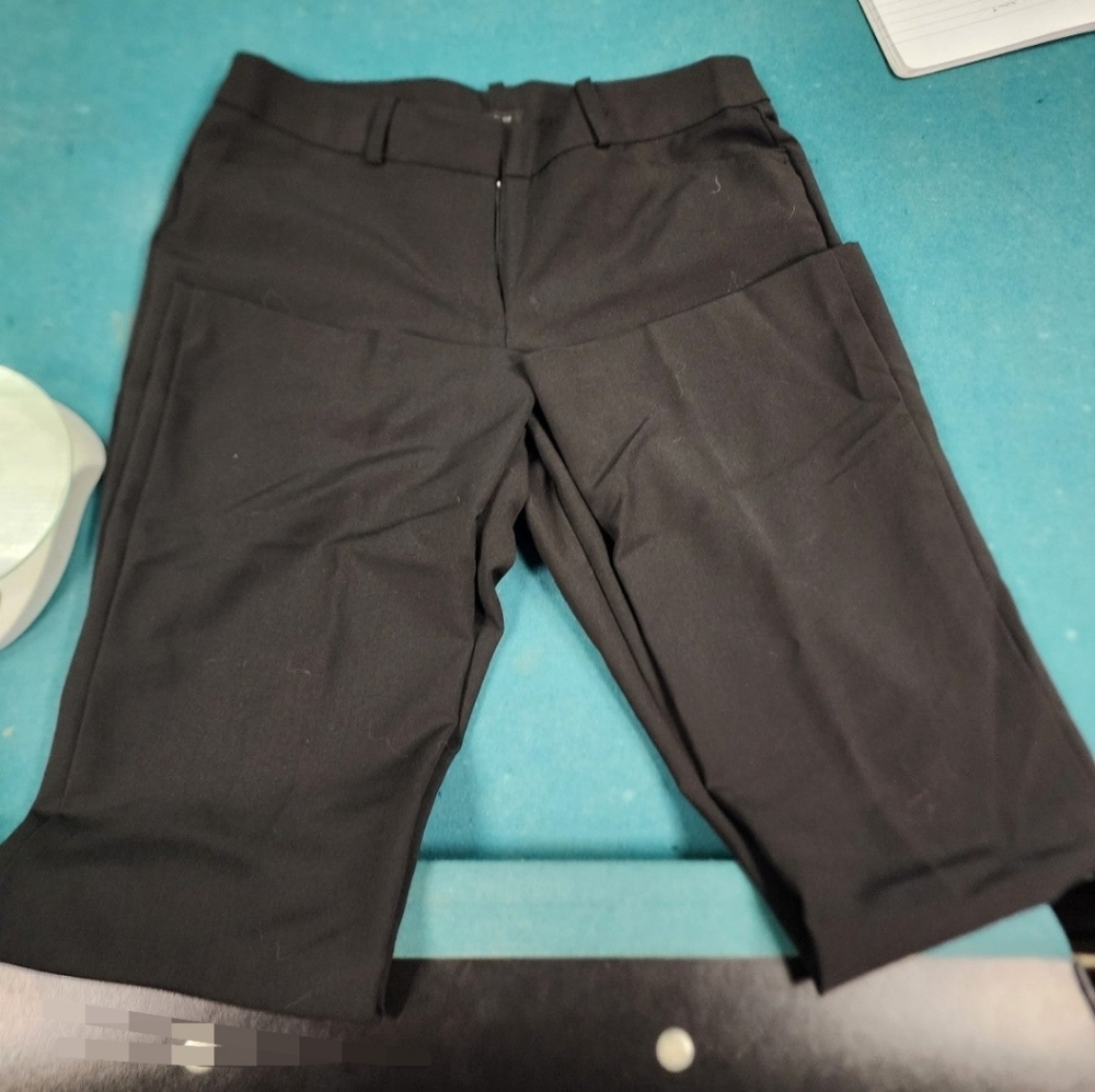 Dress pants